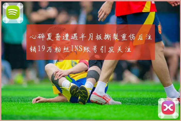 心碎夏普遭遇半月板撕裂重伤后注销19万粉丝INS账号引发关注